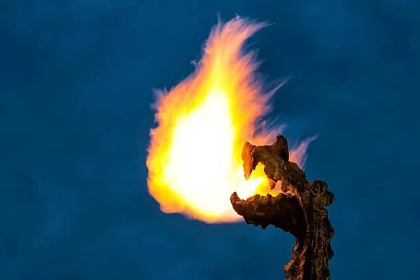 Matejko Hotel Kraków